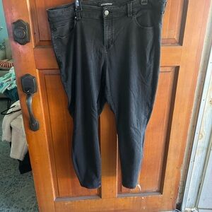 Liverpool Women's Skinny Jeans in Black